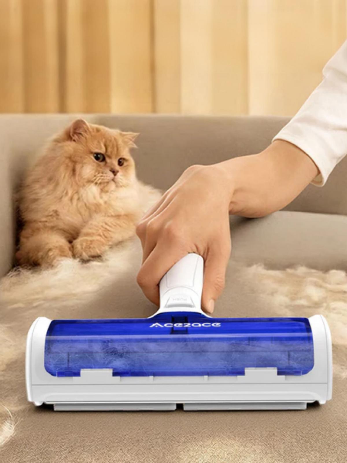 5 Minutes to a Hair-Free Couch: The Pet Owner’s Secret Cleaning Hack